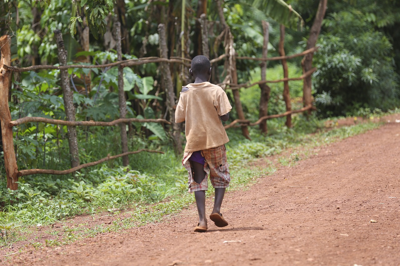 Dealing with Energy Poverty – Role of Green Energy Solutions